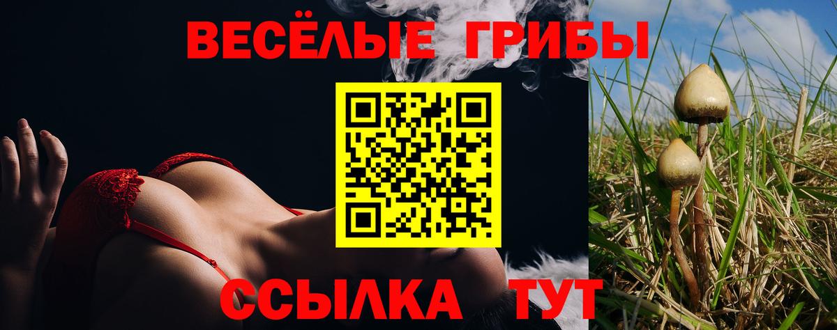 Псилоцибиновые грибы Psilocybe  Вход с VPN  Псилоцибиновые грибы ЛСД  Сегежа 